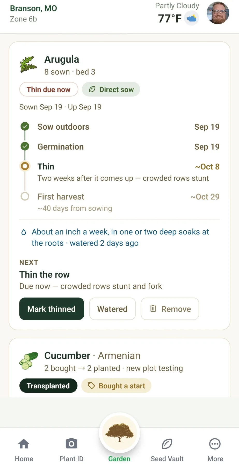 A tracker card for arugula: sown and up on Sep 19, thinning due now, first harvest around Oct 29, and how much to water