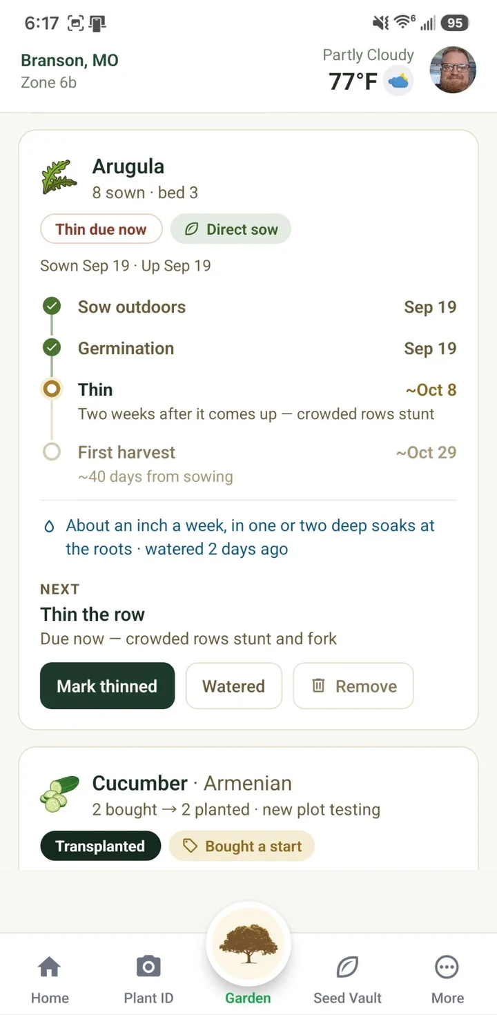 The Adams Eden app’s garden view: an arugula sowing that is due for thinning, counting down to its first harvest